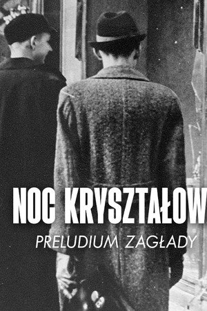 La Nuit de cristal : Les pogroms de novembre