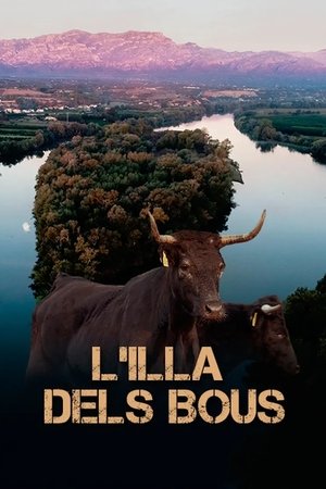 L'illa dels bous