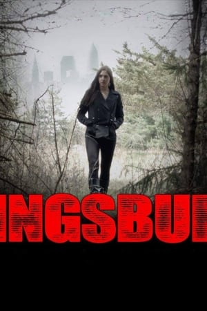 The Kingsbury Run