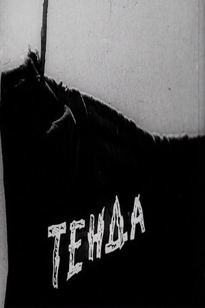 Shelter