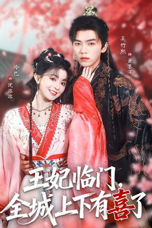 王妃临门，全城上下有喜了