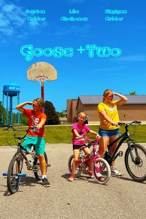 Goose + 2