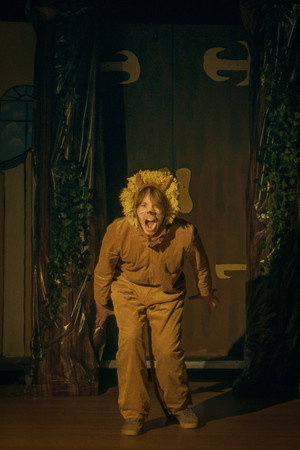 Tame the Lion