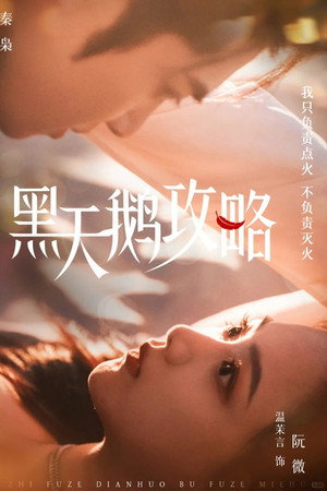 黑天鹅攻略