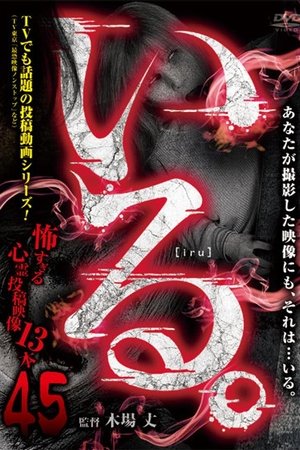 「Iru.」~ Kowasugiru Tōkō Eizō 13-hon ~ Vol.45