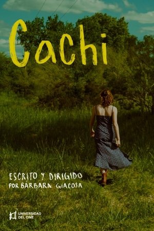 Cachi