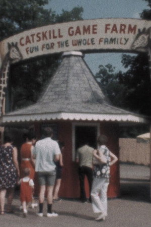 American Zoo