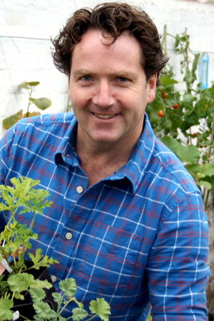 Glasshouses and Shrubs