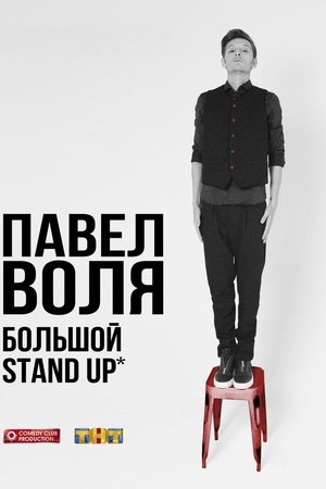 Pavel Volya: Big Stand-Up 2016