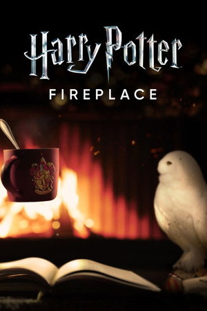 Harry Potter: Fireplace