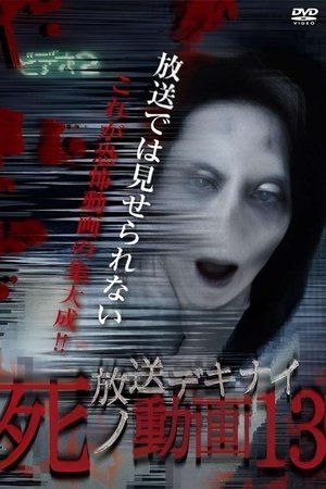 Hoso Dekinai Shi no Doga 13
