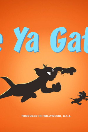 See Ya Gator