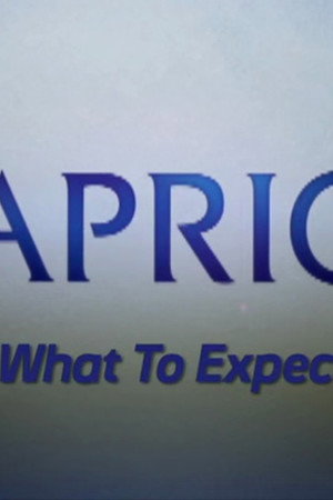 Video Blogs: What To Expect