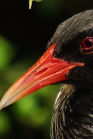 3. epizoda