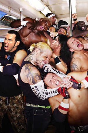 Royal Rumble 2008