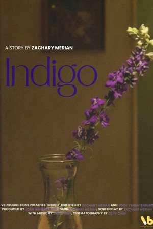 INDIGO