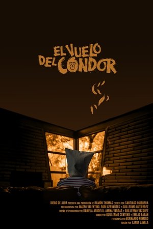 El vuelo del Cóndor