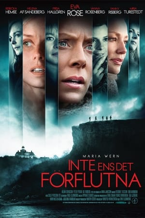 Maria Wern : Inte ens det förflutna