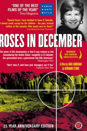 Roses in December