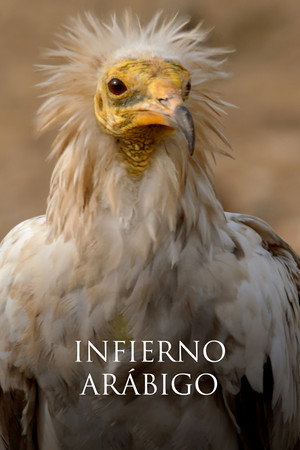 Infierno arábigo