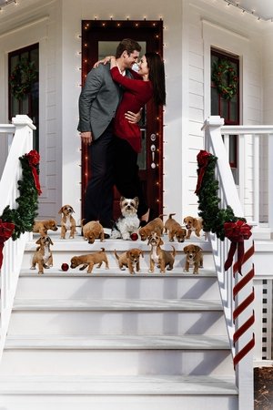 12 Pups of Christmas