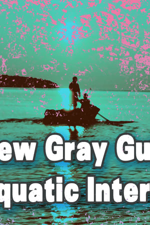 Matthew Gray Gubler's Life Aquatic Intern Journal