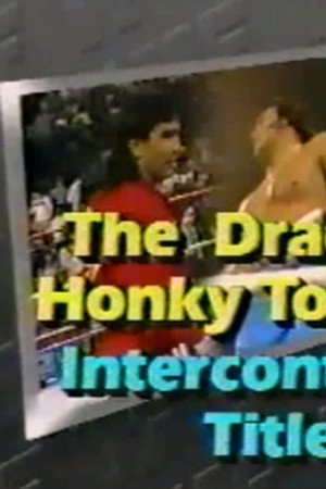 November 21, 1987 - Superstars of Wrestling 64