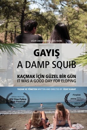 Gayış