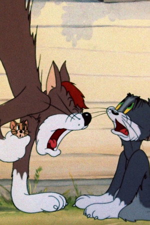 Sufferin' Cats!