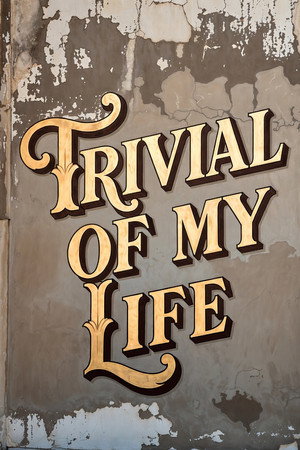 Trivial Of My Life