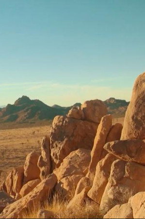 No Trespassing: A Survey of Environmental Art