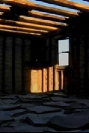 Jackrabbits and Date Farmers