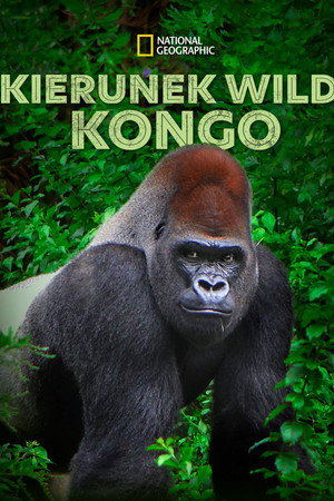 Kierunek Wild: Kongo