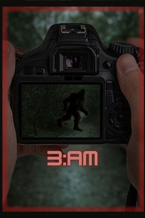 3:AM