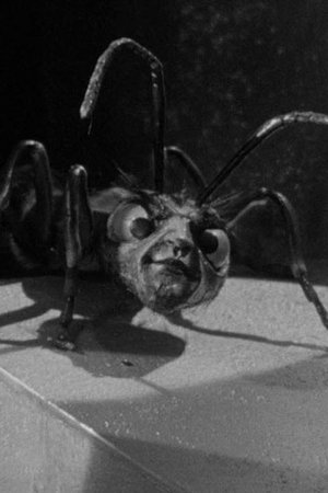 14. epizoda
