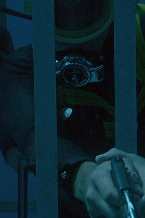 The Day of the Shark