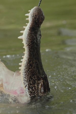 2. epizoda