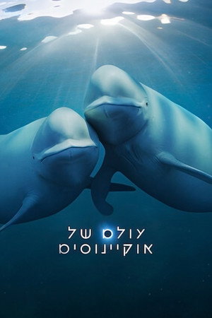 עולם של אוקיינוסים