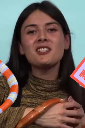Patti Reviews Exotic Animals: Honduran Milk Snake