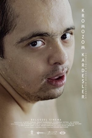 Kromozom Kardeşler