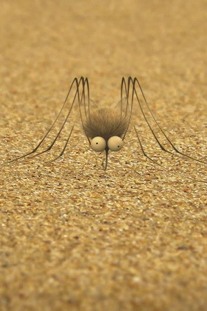 The mosquito of the caribbean