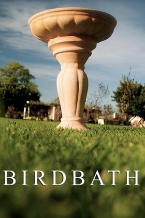 Birdbath