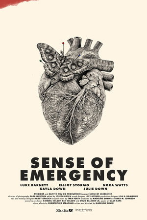 Sense of Emergency