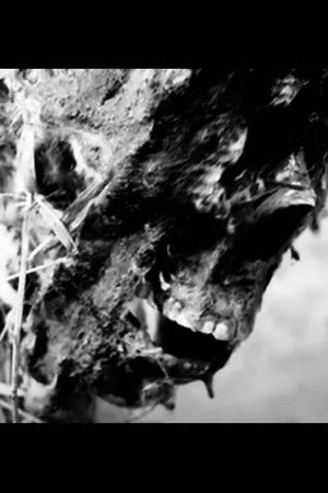 Sleepaway Camp 2: What Happened to Molly?