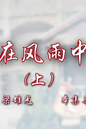 Episode 29