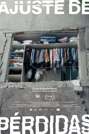Ajuste de pérdidas
