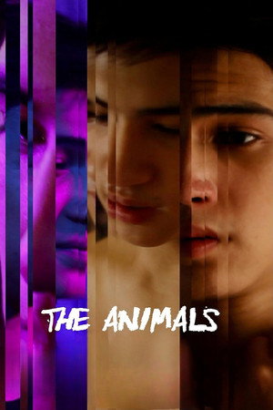 The Animals