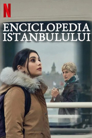İstanbul Ansiklopedisi