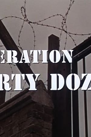 Operation Dirty Dozen