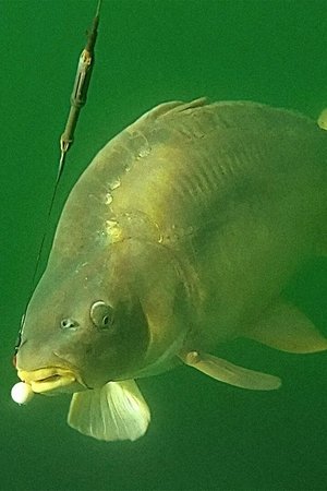 4. epizoda